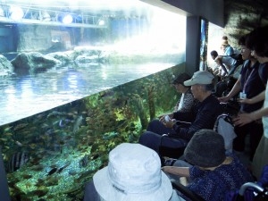 新江ノ島水族館-02