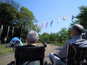 茅ヶ崎里山公園鯉のぼり-01