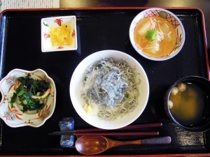 しらす丼-01