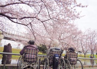 桜花見&花見御膳その1