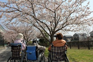 4月桜花見・おやつレク