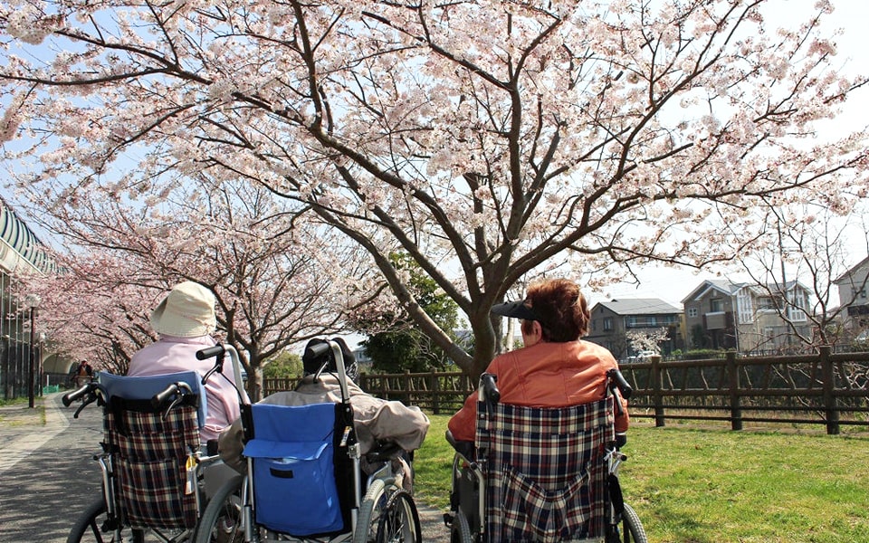 桜の木の前でお花見