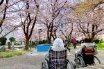 お花見