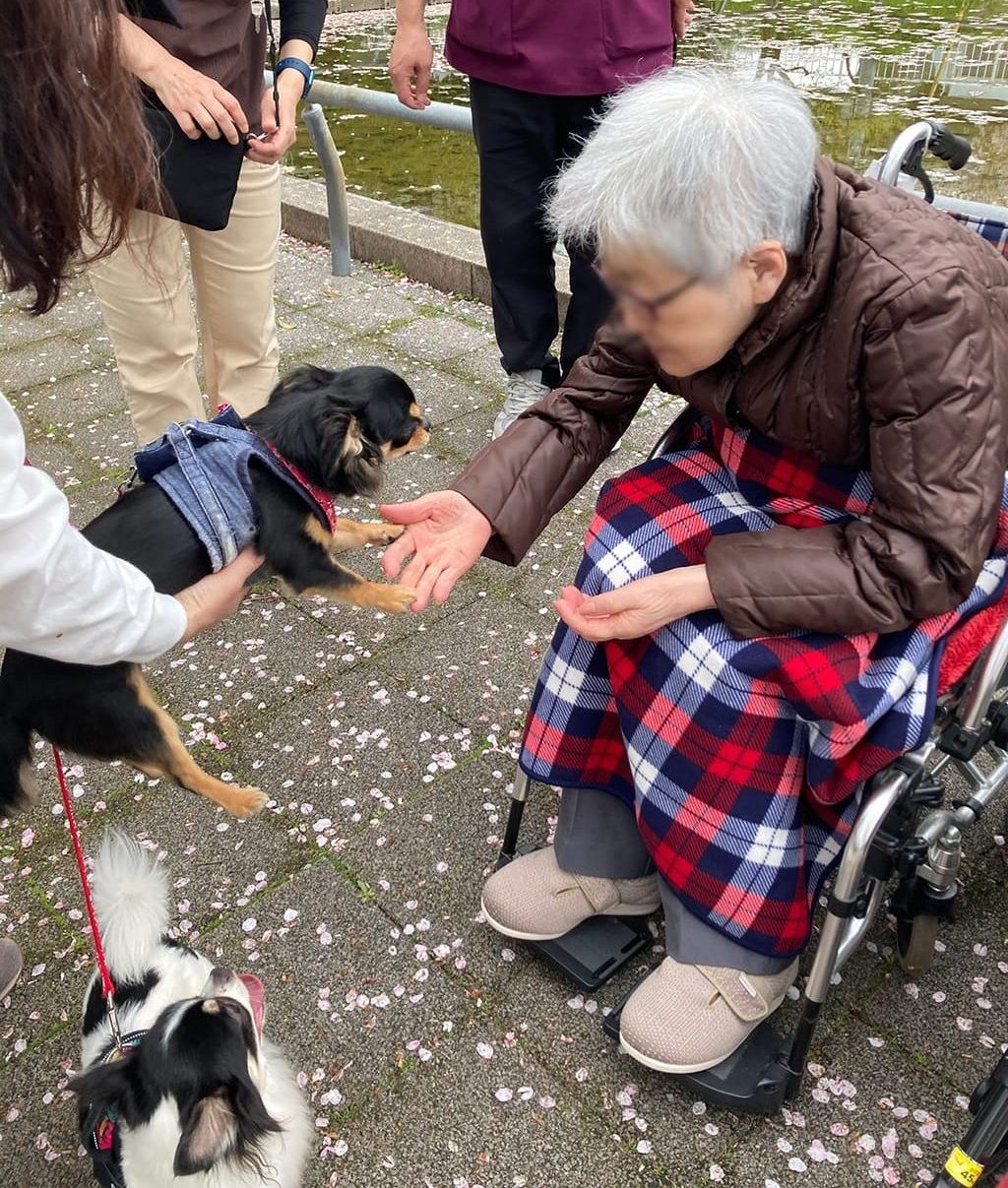 4月のブログ お花見にて